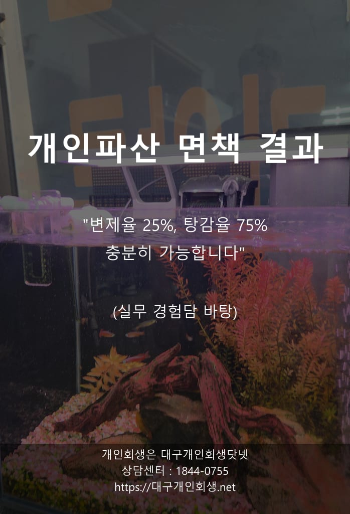 법인 부도로 떠안은 개인 연대채무 2억 6천만 원, 50대 전 법인 대표의 면책 기록