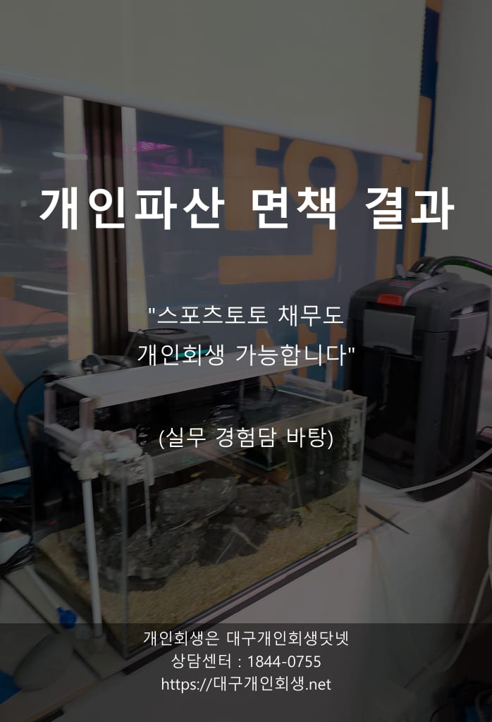 [자가 체크] 12문항 + 박OO 씨의 6,500만 원 면책 사건