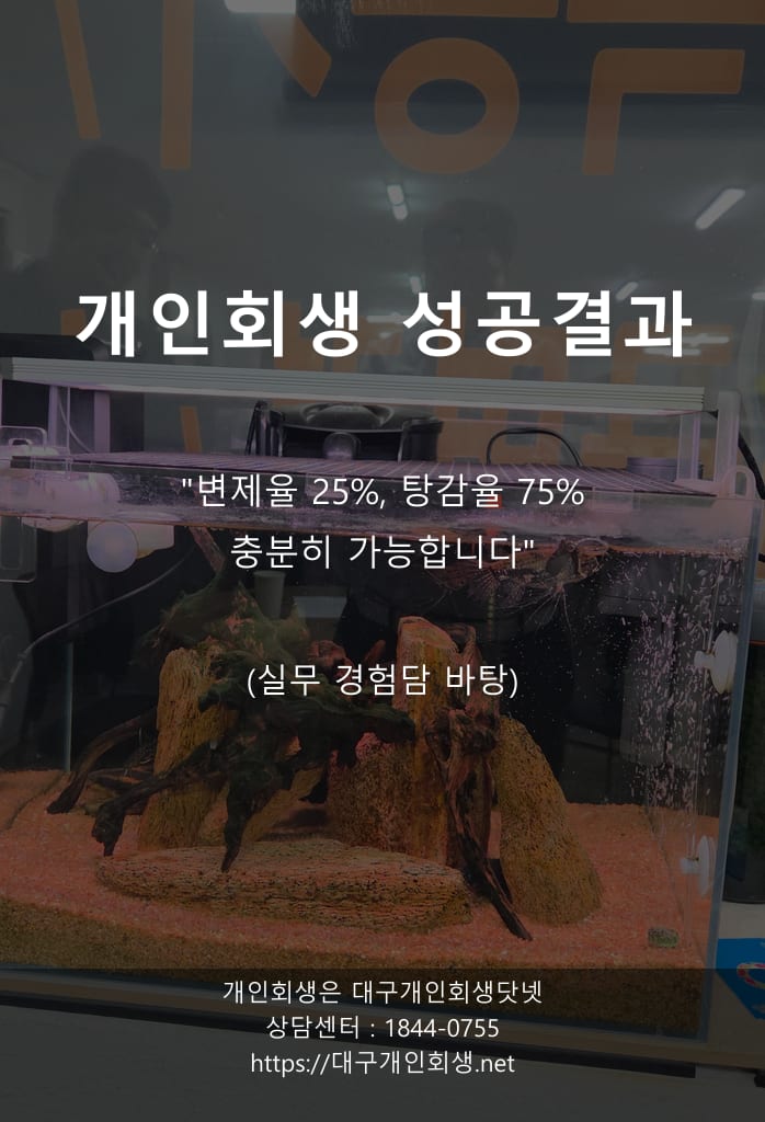 [시간 역순] 변제계획 인가의 그 날에서 첫 카드값까지 — 학원 강사의 7,500만 원 회생