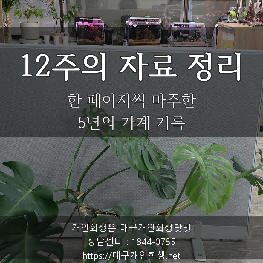12주의 자료 정리 — 5년의 가계 기록을 한 페이지씩 마주한 시간