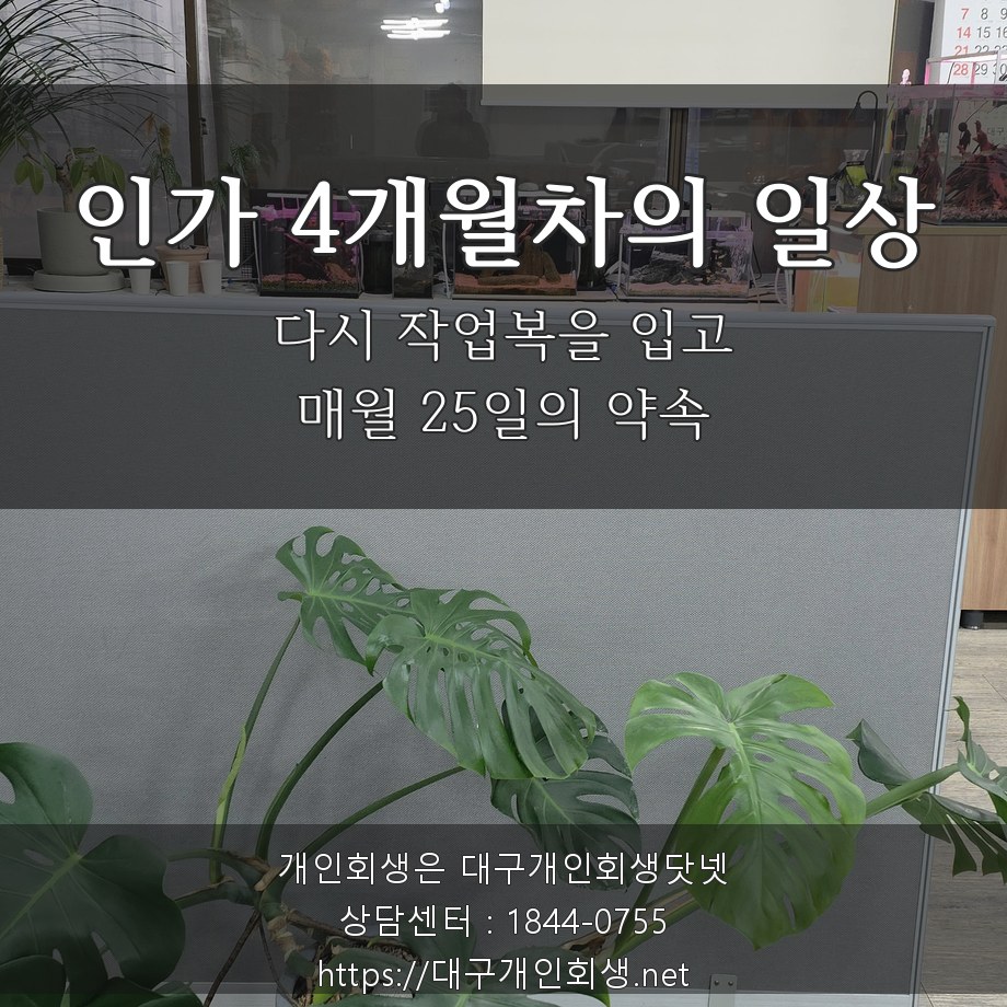 인가 4개월차의 일상 — 다시 작업복을 입고 매월 25일의 약속