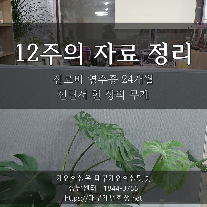 12주의 자료 정리 — 진료비 영수증 24개월·진단서 한 장의 무게