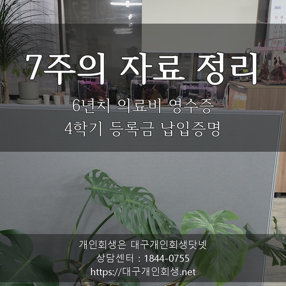 12주의 자료 정리 - 진료비 영수증 3년치·요양원 청구서의 무게
