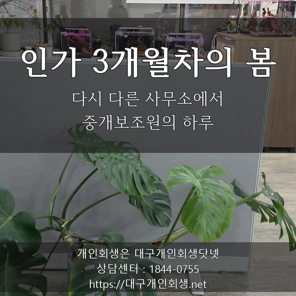 인가 3개월차의 봄 - 다시 다른 사무소에서 중개보조원의 하루