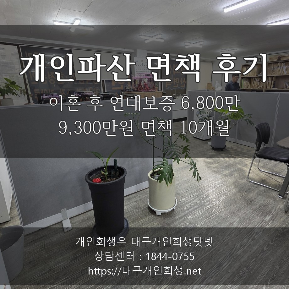 개인파산 면책 후기 - 이혼 후 연대보증 6,800만 포함 9,300만원 면책 10개월