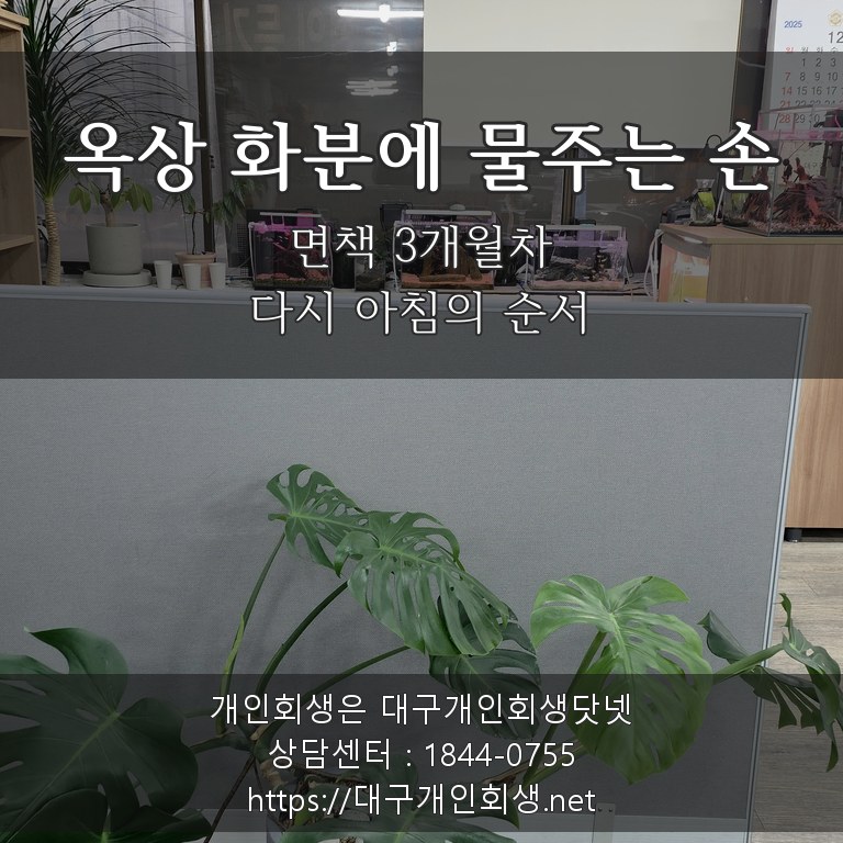 옥상 화분에 물주는 손 - 면책 3개월차, 다시 아침의 순서