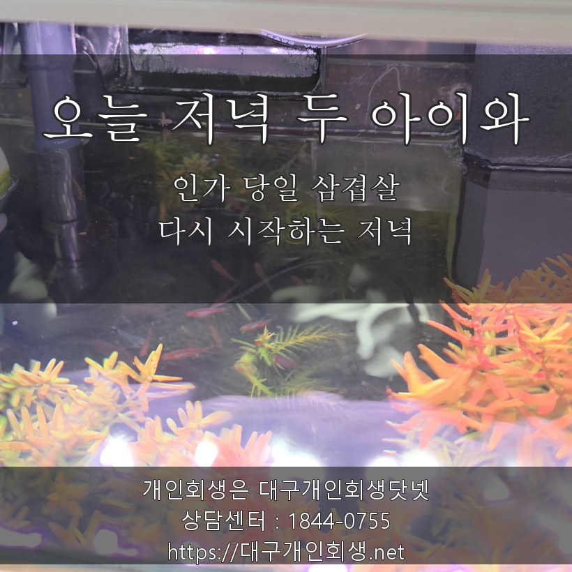 인가결정 당일 저녁 두 아이와 삼겹살 - 다시 시작하는 저녁