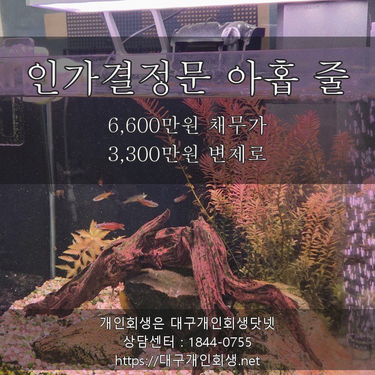 인가결정문 아홉 줄 - 6,600만원 채무가 3,300만원 변제로