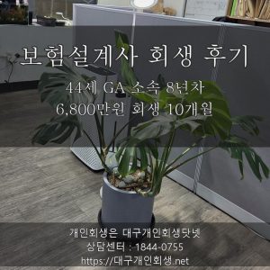 보험설계사 개인회생 후기 - 44세 GA 소속 개인사업자 전남편 연대보증 6,800만원 회생 10개월