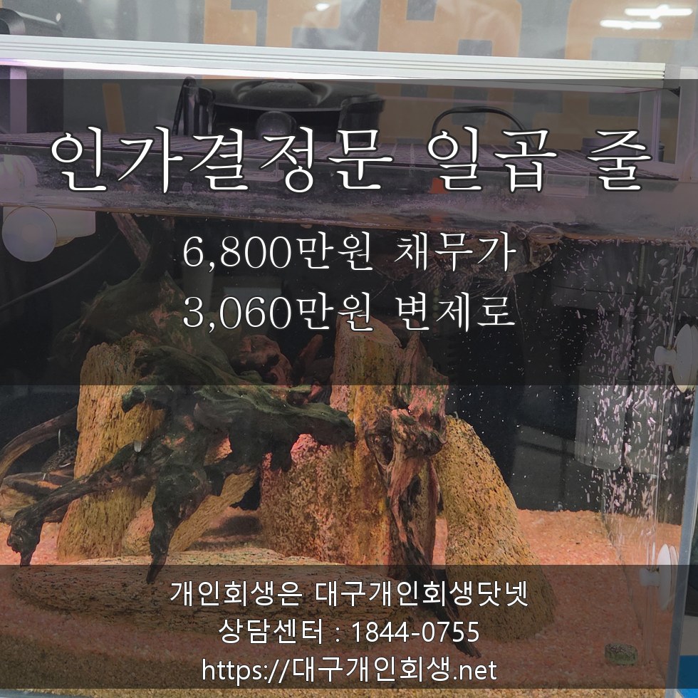 인가결정문 일곱 줄 - 6,800만원 채무가 3,060만원 변제로
