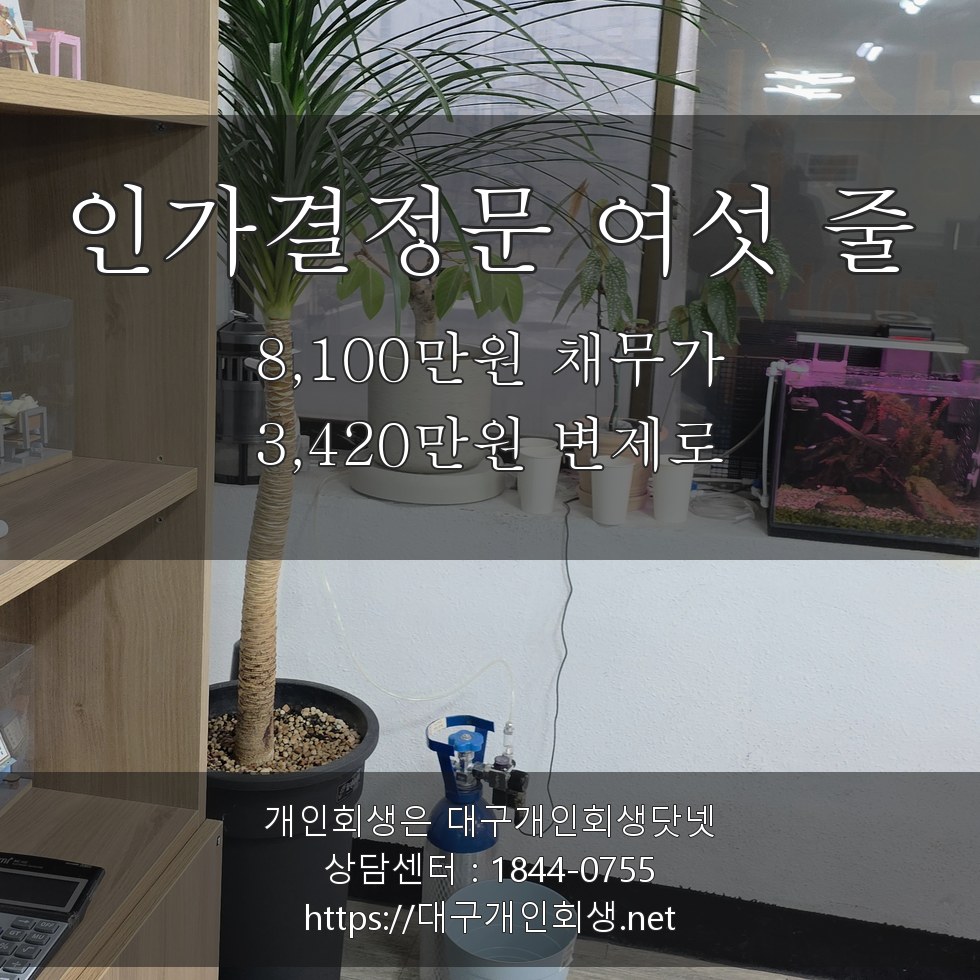 인가결정문 여섯 줄 - 8,100만원 채무가 3,420만원 변제로