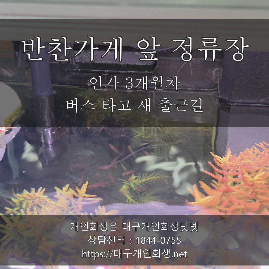 반찬가게 앞 정류장 새 출근길 - 인가 3개월차, 버스 타고 물류센터로
