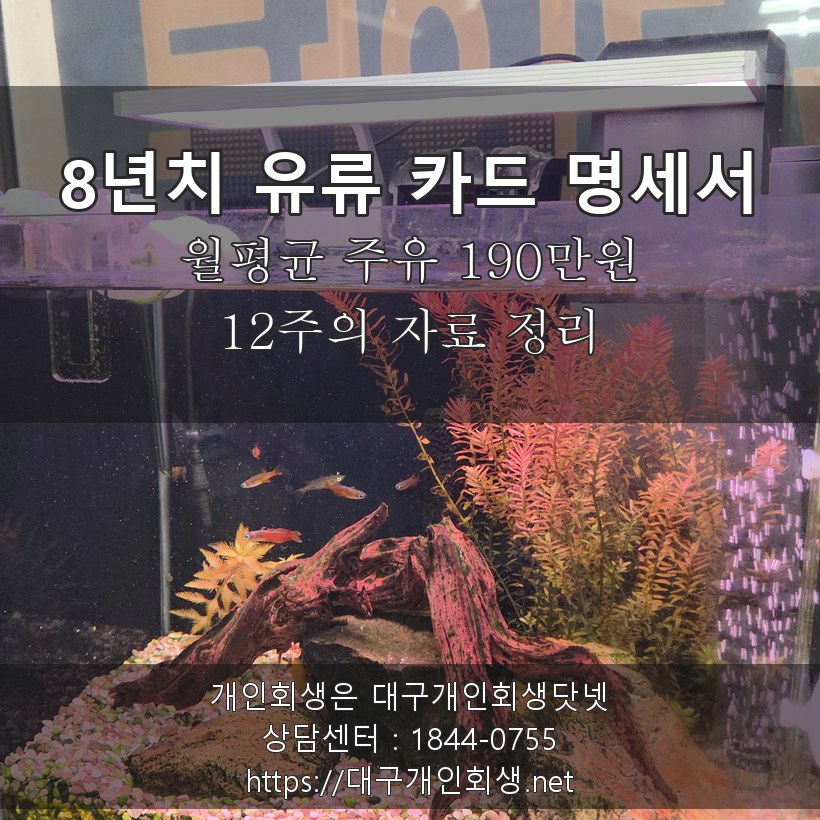 화물차 8년치 유류 카드 명세서 월평균 190만원 - 12주의 자료 정리