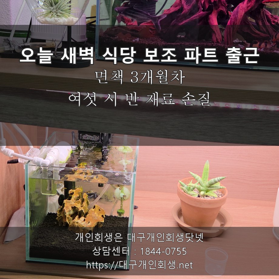 오늘 새벽 식당 보조 파트 출근 재료 손질 - 면책 3개월차, 여섯 시 반