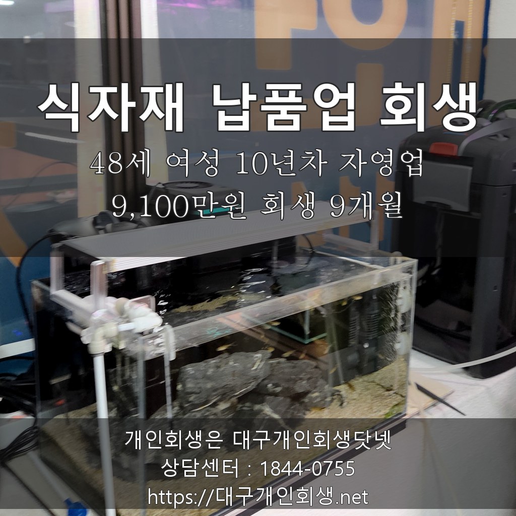 식자재 납품업 회생 후기 - 48세 10년차 자영업 9,100만원 회생 9개월