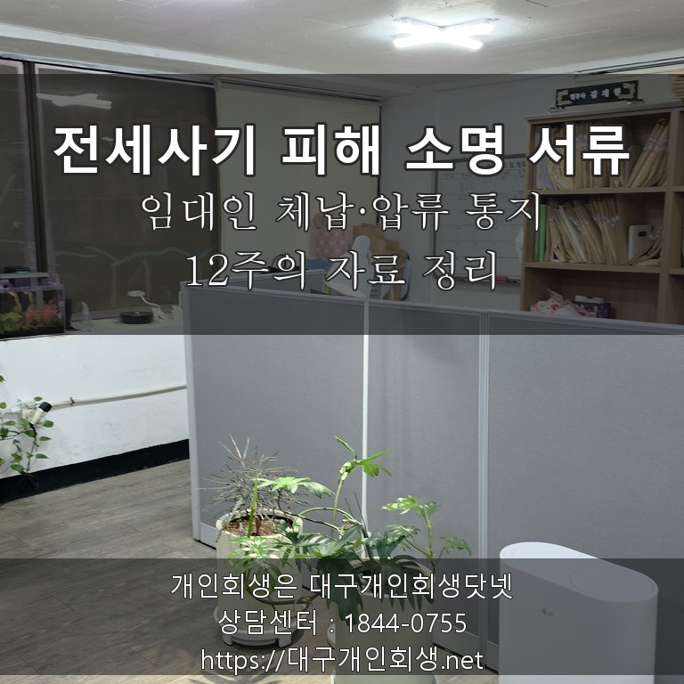 전세사기 피해 소명 서류 임대인 체납·압류 통지 - 12주의 자료 정리