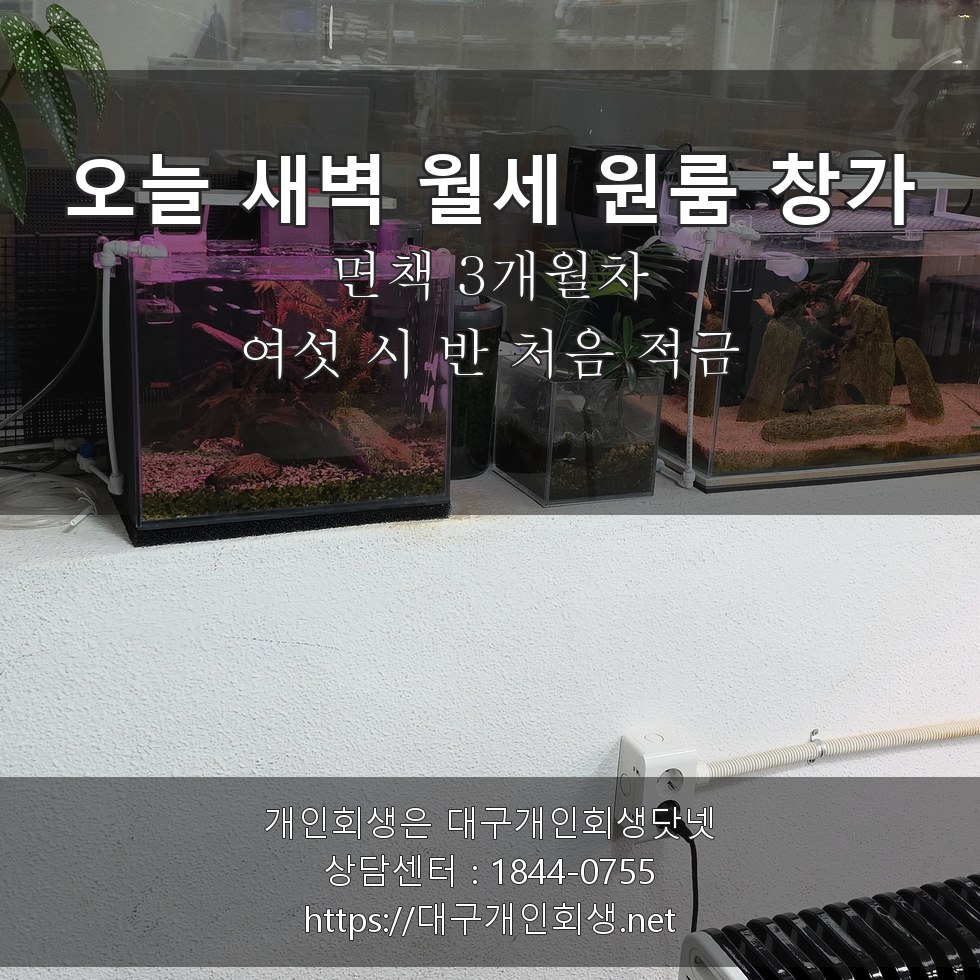 오늘 새벽 월세 원룸 창가 처음 적금 - 면책 3개월차, 여섯 시 반