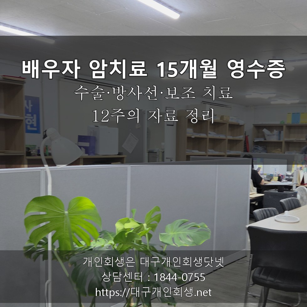 배우자 유방암 2기 치료 15개월 수술·방사선·보조 치료 영수증 - 12주의 자료 정리