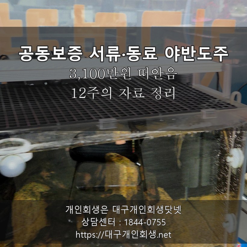 공동보증 서류·동료 야반도주 소명 자료 3,100만원 떠안음 - 12주의 자료 정리