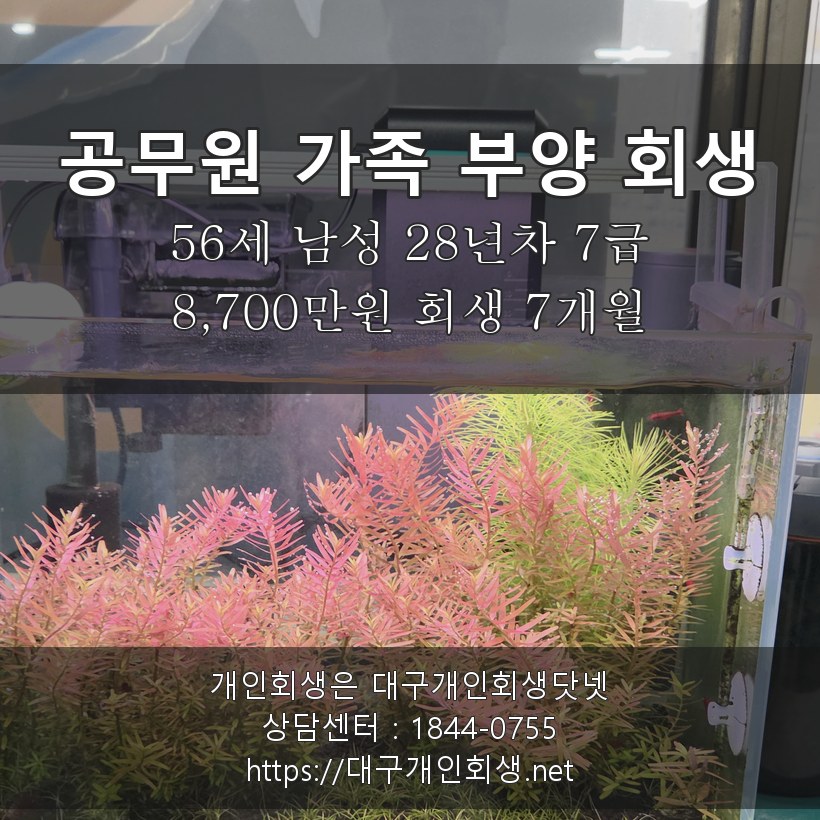 공무원 가족 부양 회생 후기 - 56세 28년차 7급 8,700만원 회생 7개월