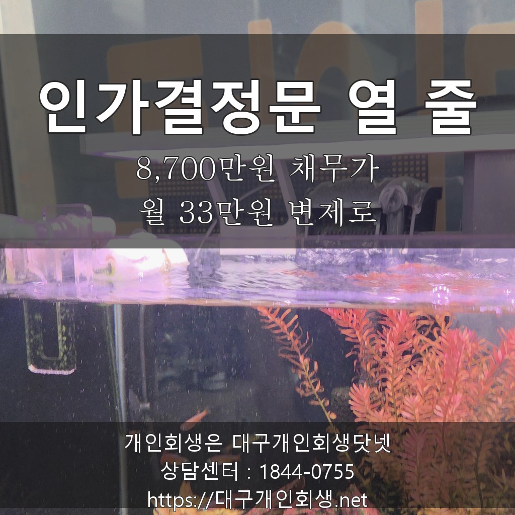 인가결정문 열 줄 - 8,700만원 채무가 월 33만원 5년 변제로