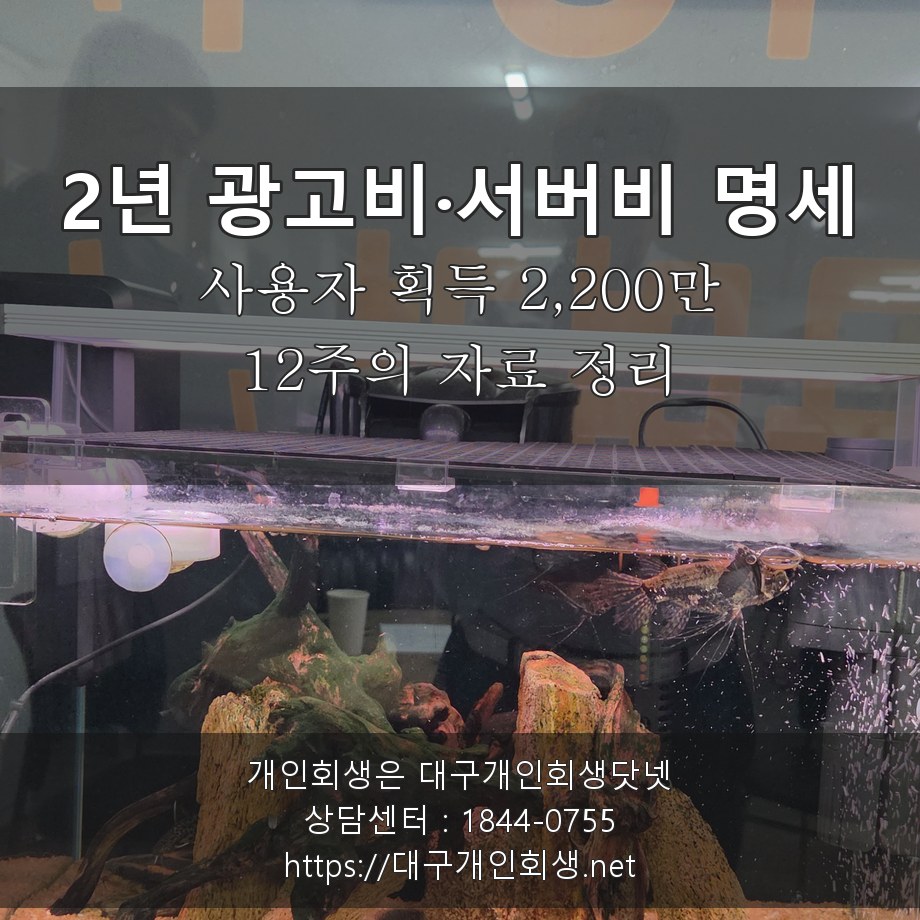 2년 사용자 획득 광고비·AWS 서버비 명세 2,200만원 - 12주의 자료 정리