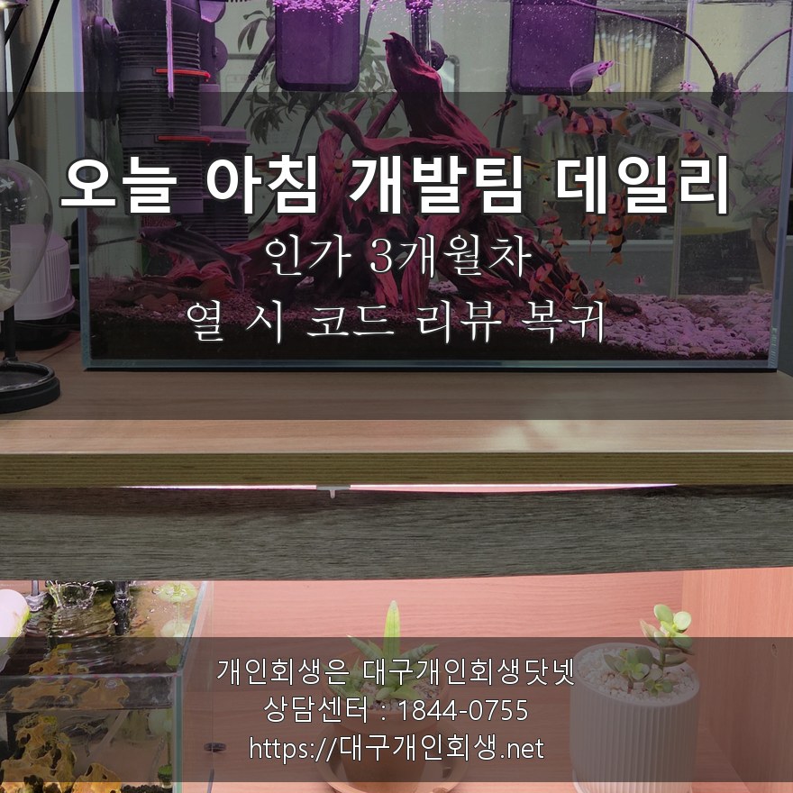 오늘 아침 개발팀 데일리 스탠드업 - 인가 3개월차, 열 시 코드 리뷰 복귀